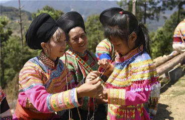 云龙脱贫记：能人、物产与山村1