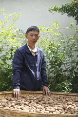 云龙脱贫记：能人、物产与山村3