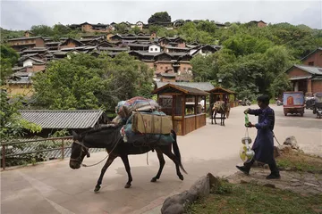 云龙脱贫记：能人、物产与山村4