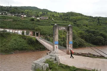 云龙脱贫记：能人、物产与山村5