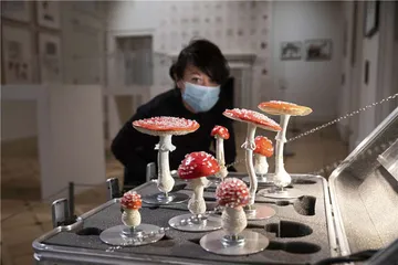 天下（1097）3