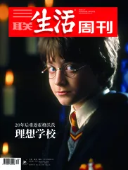 戴锦华：霍格沃茨是现实中学校的镜中像