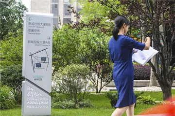 隐秘的“内圈”：“新城”创始人王振华往事2