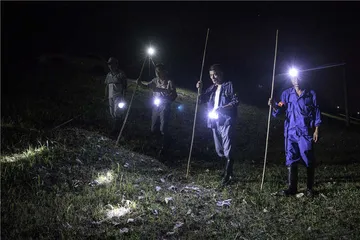 武汉堤防，人水共生2