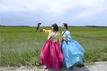 土特产直播，风口的悖论