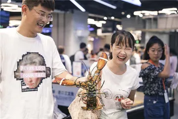 理想婚姻：幻想、真相与追求3