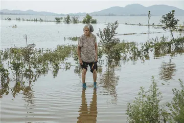 安徽圩区的难解之疾