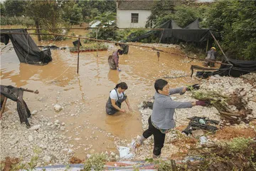 安徽圩区的难解之疾3