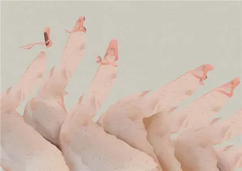 消费·理财（1101）