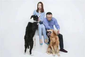 上海中年夫妻的婚姻故事