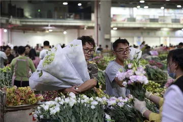 姗姗来迟的云南鲜花季3