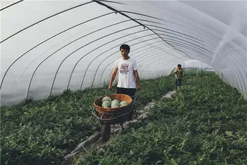 那些高考“零分”考生的事后人生3