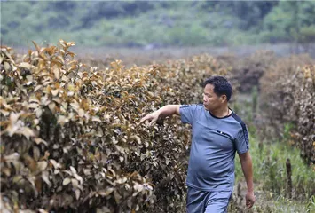 南方水灾又一年：危险的小流域山区1