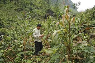 养育9个孩子：大山里的另一种选择6