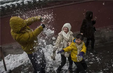 童与伴：被忽视与误读的成长世界