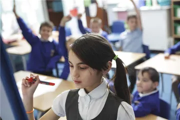 理解孩子的同伴世界：一个小学班主任的教育实践2