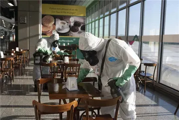 分裂的巴西1
