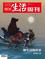 海清：尊重自然规律，保护野生动物