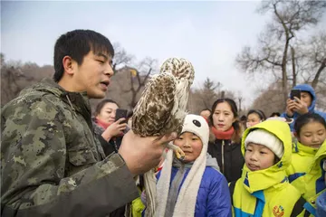 野生动物保护：从明星物种到生态系统9