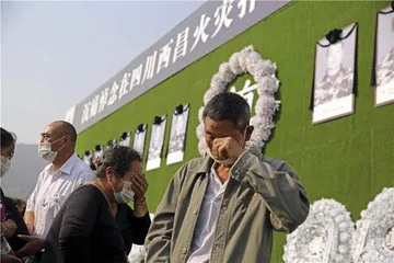 凉山大火再燃：严防下的山火困境5