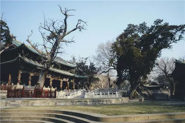 晋祠的烟火气