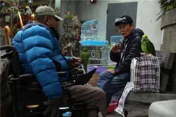 龟：异宠之困2