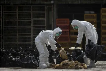 野生动物不背锅