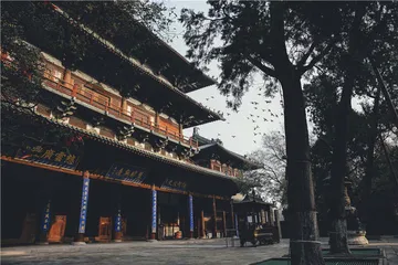 隆兴寺：宋代木构大观
