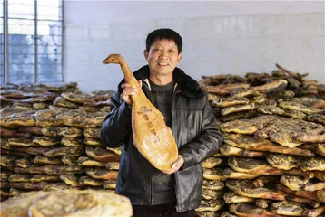 火腿的时间主义2