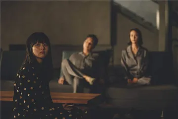 奉俊昊：奥斯卡的闯入者2
