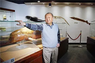 江豚：命运的关键时期1