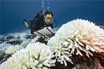 我们的海洋3