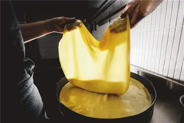 为何对主食一往情深3
