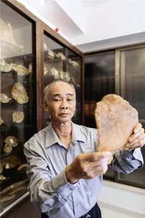 鱼胶里的魅惑