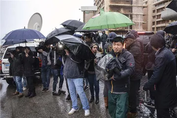 逃亡者戈恩：“达沃斯人”的倒掉2