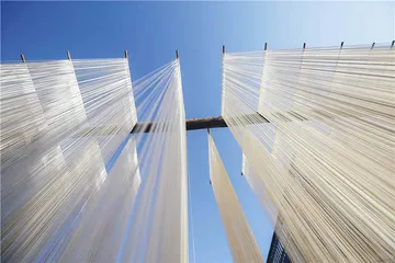 关中：寻一碗好面11