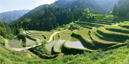 乡建与废校考察：不只是艺术4