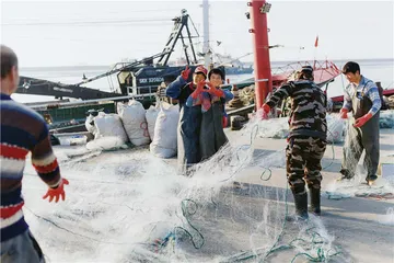 舟山年饭桌上的海4