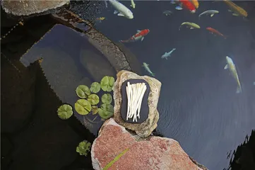 重新认识素食之美