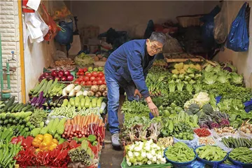 重新认识素食之美2