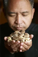 云南：食材猎人、野生菌与冬季蔬菜7
