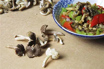 云南：食材猎人、野生菌与冬季蔬菜8