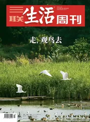 刘华杰：观鸟，一种田园牧歌型的博物方式