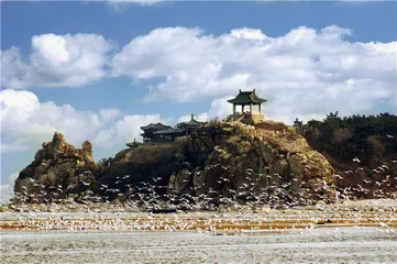 走，观鸟去4