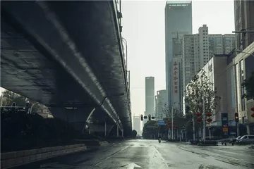 1月21日～2月1日：封城前后，武汉时刻10