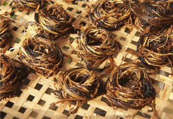 云南腌菜简谱