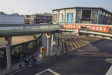 1月21日～2月1日：封城前后，武汉时刻11