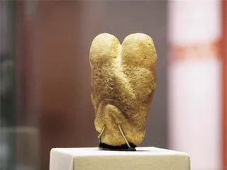 《安萨哈利情侣》：世上最古老的温柔1