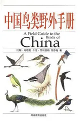 鸟类图鉴小简史5