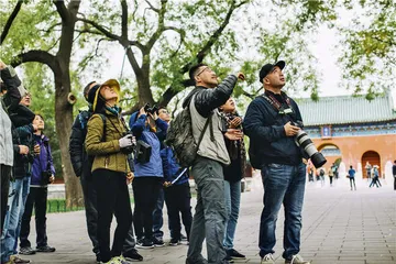 北京观鸟：重新认识一座城市3
